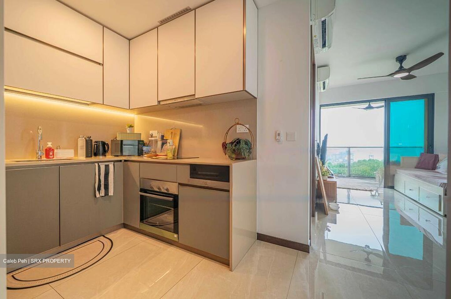 Normanton Park (D5), Apartment #578358691